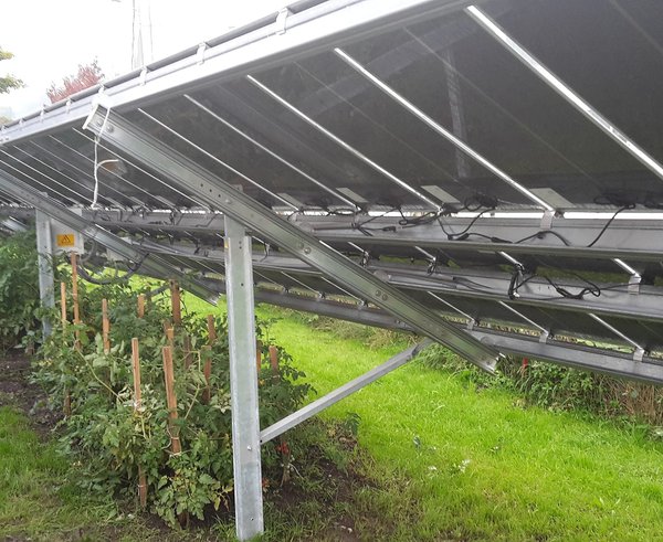 Dornbirn-Montfortstrasse_19-Gardening-Photovoltaik-01ASD