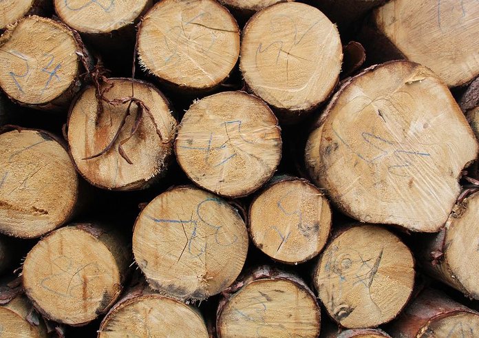 dřevo