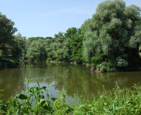 Soutok Moravy a Dyje se chráněným územím stane od července.