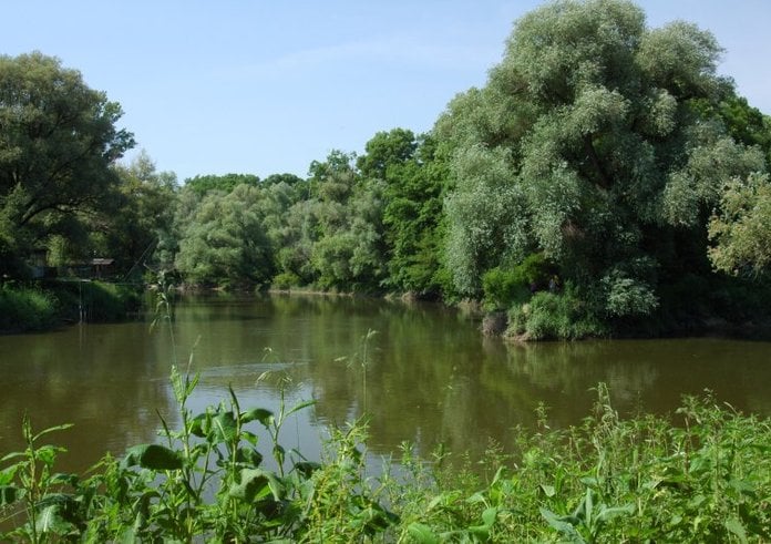 Soutok Moravy a Dyje se chráněným územím stane od července.