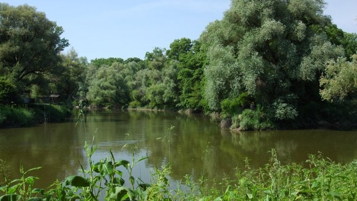 Soutok Moravy a Dyje se chráněným územím stane od července.