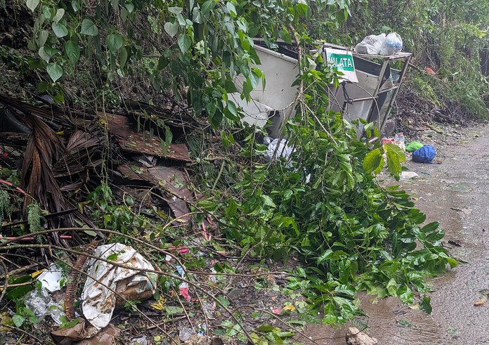 Effects_of_Typhoon_Tino_in_Cebu_City_2025-11-04_002