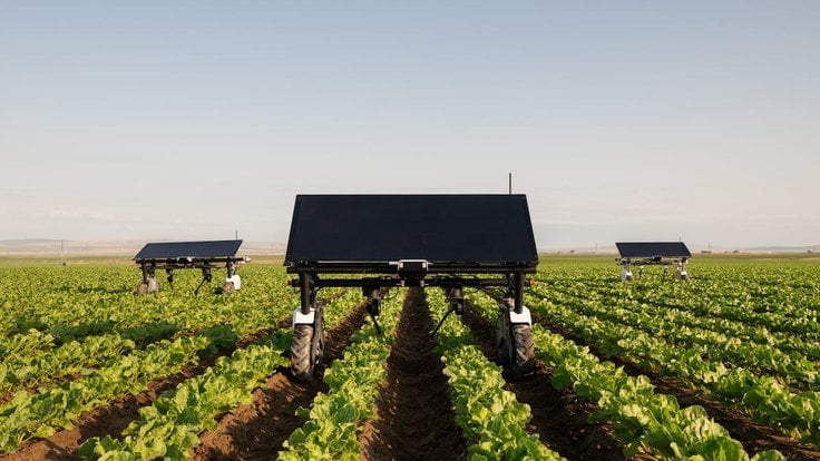 Už bez pesticidů. Na pole vyjedou roboti, kteří dokáží plít až 14 hodin denně.