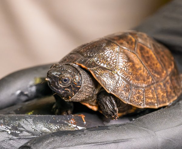 Foto 2_Z09_0925_export