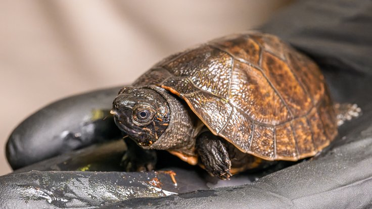 Foto 2_Z09_0925_export