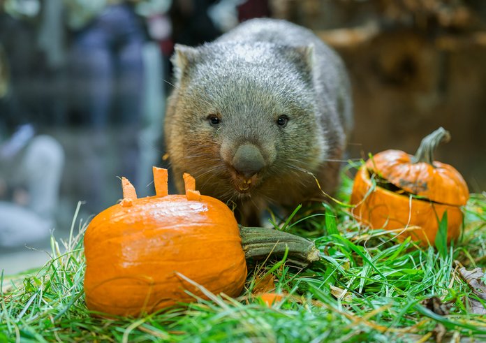 Foto 4_Z09_2820_export_2500px