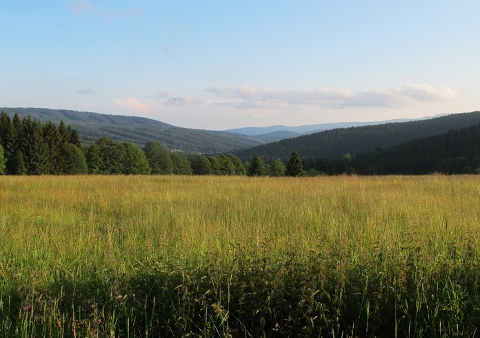 Šumava