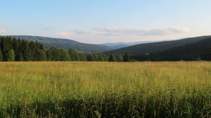 Šumava