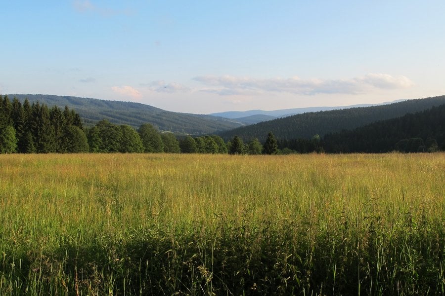 Šumava