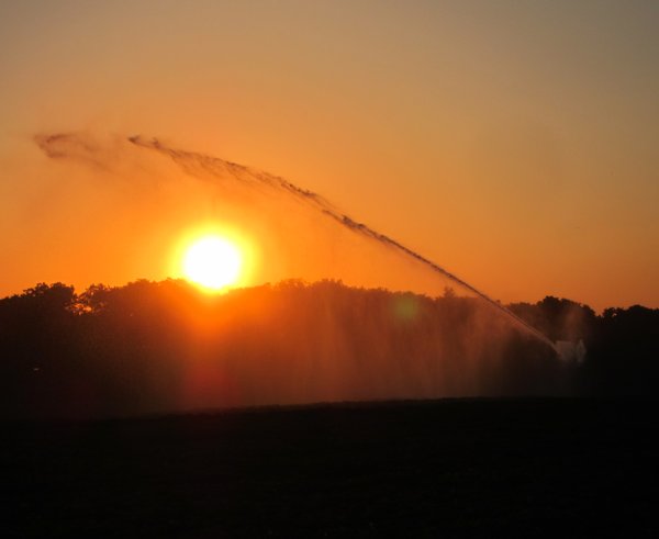 Hot_(34_degrees)_and_dry,_an_extreme_weather_combination_in_Holland._Here_watersupply_along_the_Schelmseweg_Schaarsbergen_at_1_July_2015._Start_of_the_most_warm_night_in_Holland_since_1901_with_some_24_degrees_