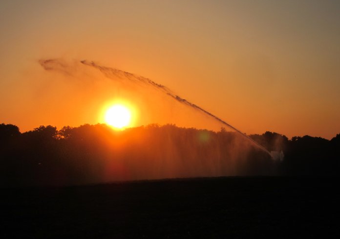 Hot_(34_degrees)_and_dry,_an_extreme_weather_combination_in_Holland._Here_watersupply_along_the_Schelmseweg_Schaarsbergen_at_1_July_2015._Start_of_the_most_warm_night_in_Holland_since_1901_with_some_24_degrees_