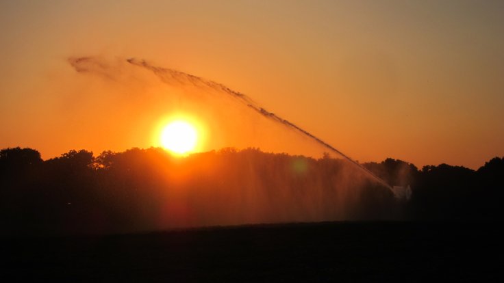 Hot_(34_degrees)_and_dry,_an_extreme_weather_combination_in_Holland._Here_watersupply_along_the_Schelmseweg_Schaarsbergen_at_1_July_2015._Start_of_the_most_warm_night_in_Holland_since_1901_with_some_24_degrees_