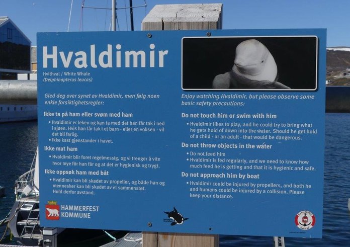 Hvaldimir_sign