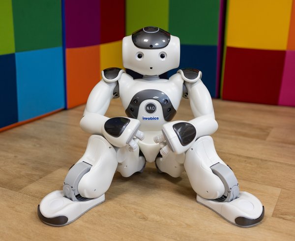 Robot Robica