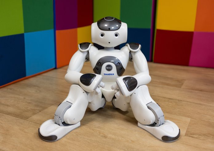 Robot Robica
