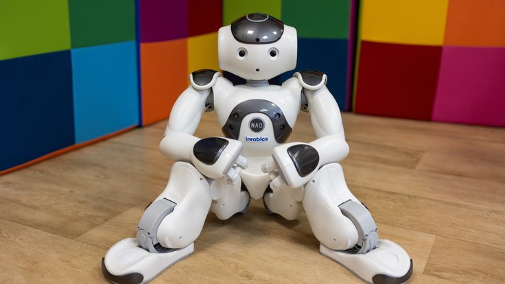 Robot Robica