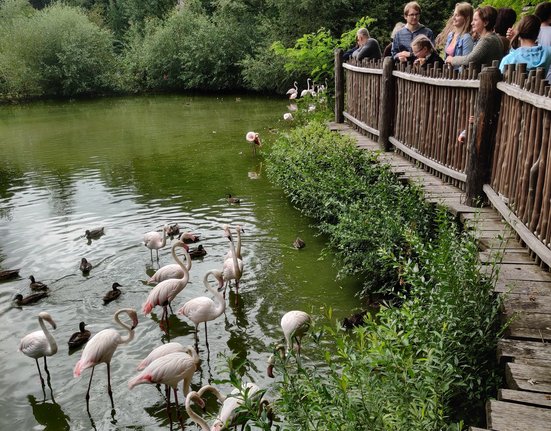 Zoo Zlín