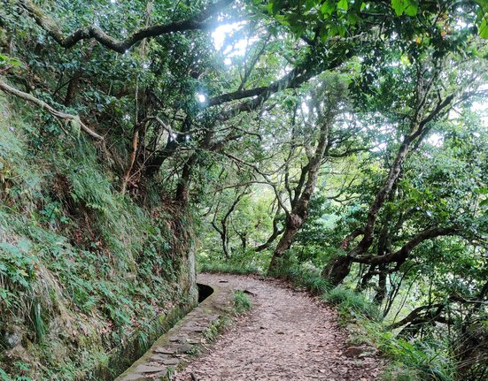 Madeira