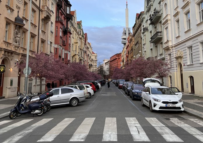 Přechod pro chodce na pražských Vinohradech