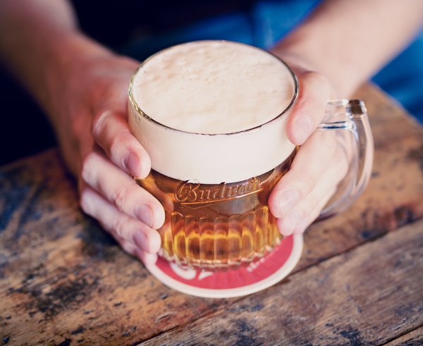 pivo