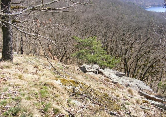 Foto z přírodní rezervace Doubravka na Vysočině.