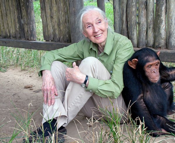 Jane_Goodall_2015