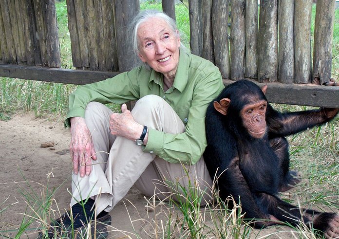 Jane_Goodall_2015