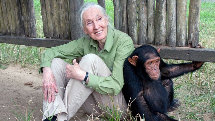 Jane_Goodall_2015