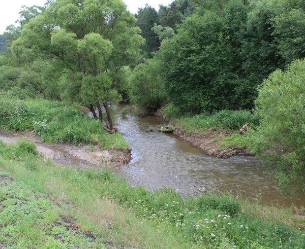 Lašovice,_Rakovnický_potok