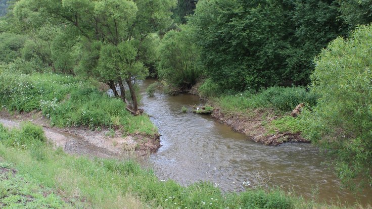 Lašovice,_Rakovnický_potok