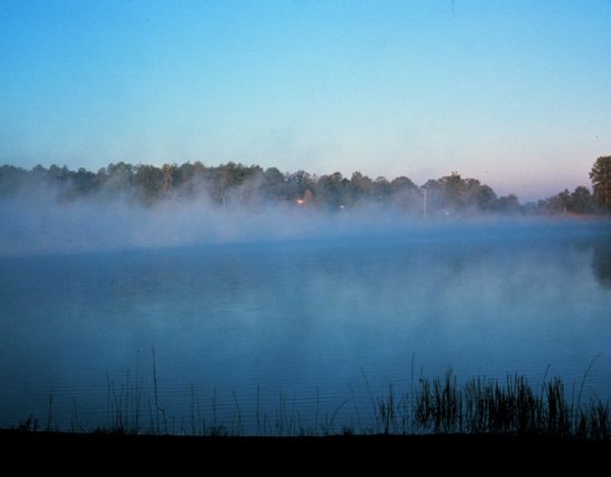 Morningfog