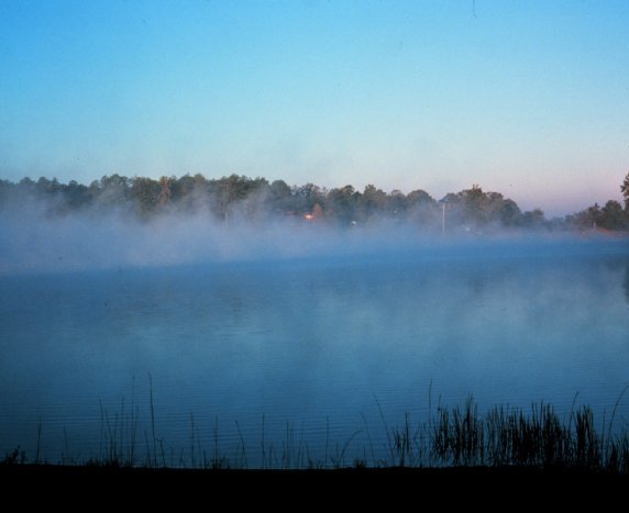 Morningfog