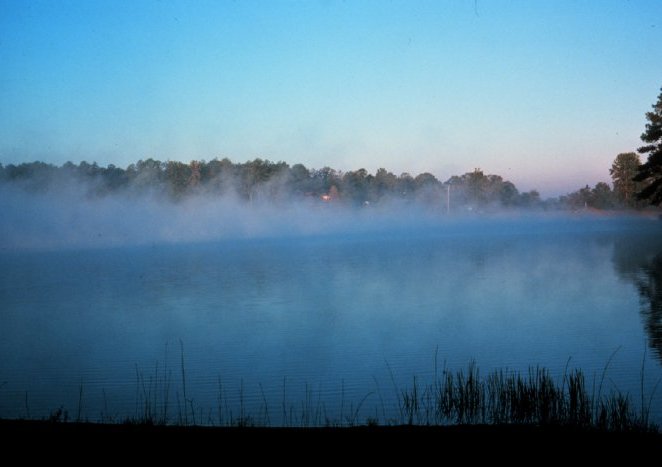Morningfog