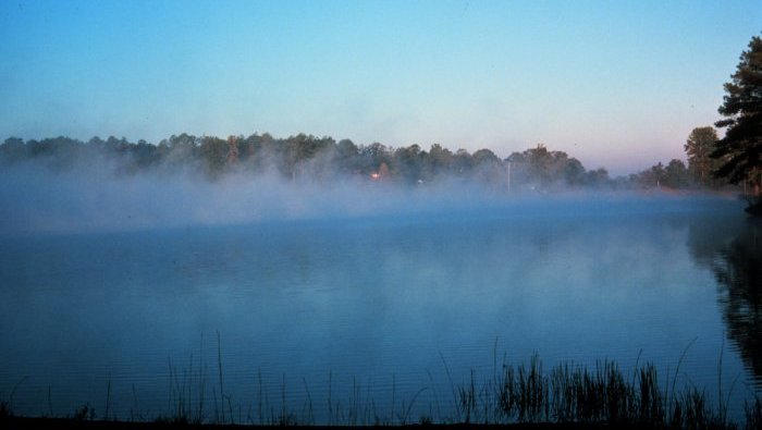Morningfog