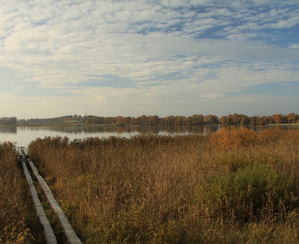 Rybník Řežabinec u Ražic