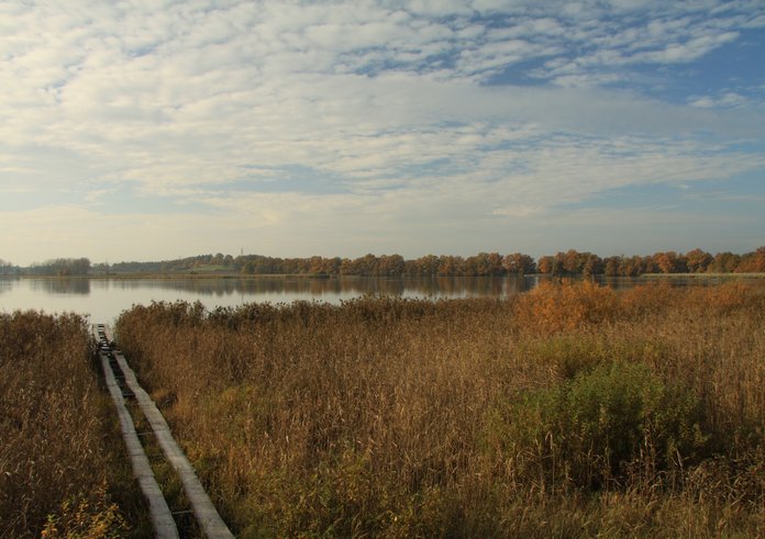 Rybník Řežabinec u Ražic