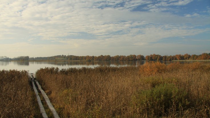 Rybník Řežabinec u Ražic