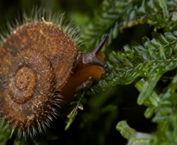 Nový Textový dokument OpenDocument (2)