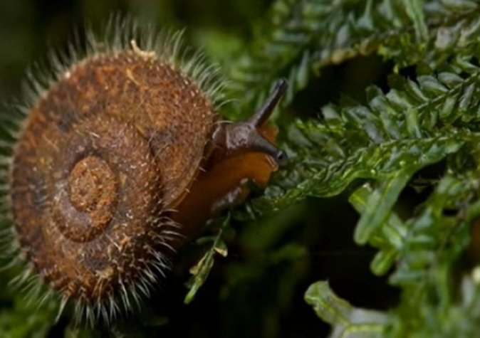 Nový Textový dokument OpenDocument (2)