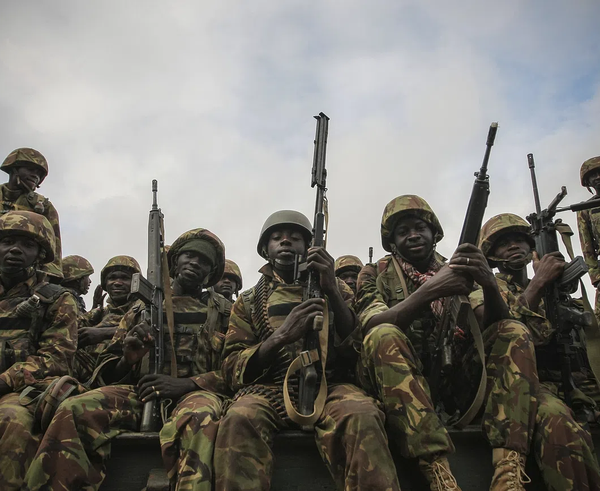 OWP-RSF-take-El-Fasher