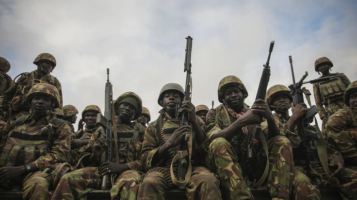 OWP-RSF-take-El-Fasher