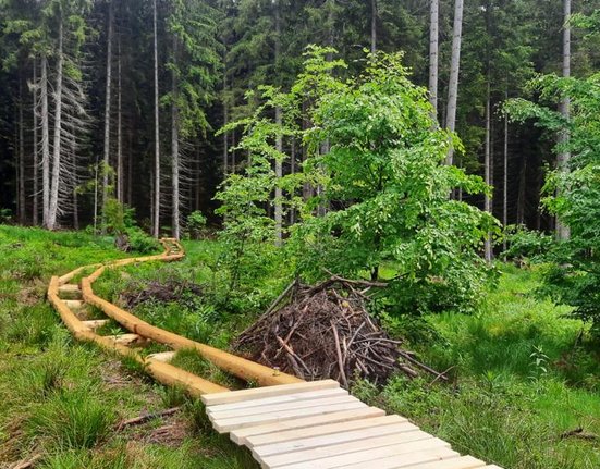 Stavba nového dřevěného povalového chodníku na náhradní trase k Boubínskému jezírku.