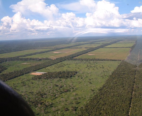 ParaguayChaco_Clearings_for_cattle_grazing