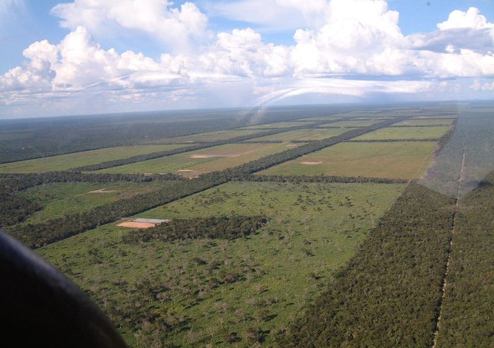 ParaguayChaco_Clearings_for_cattle_grazing