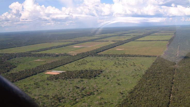 ParaguayChaco_Clearings_for_cattle_grazing