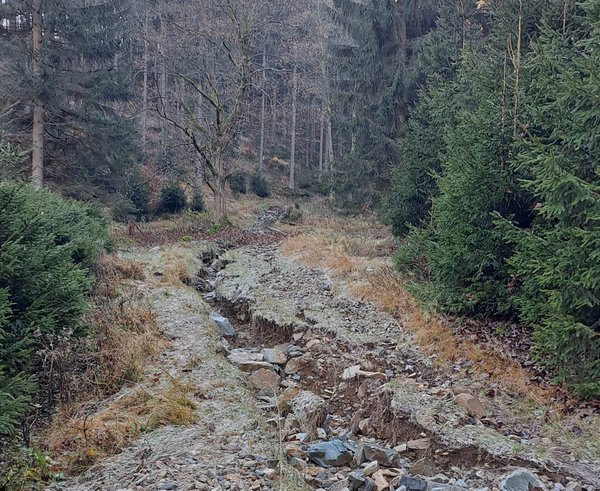 Petříkov a Ostružiník