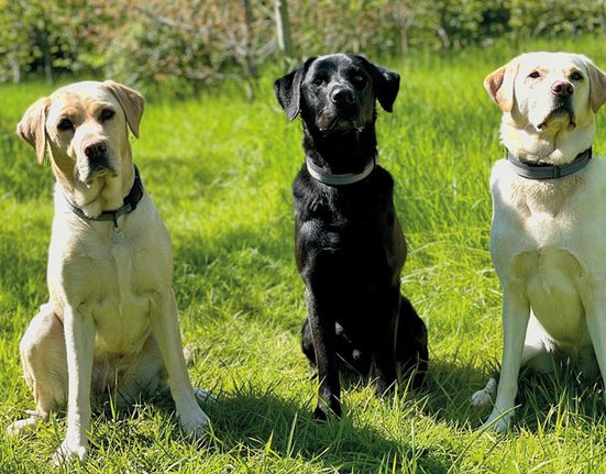 Pru-Oakley-Jodie-web