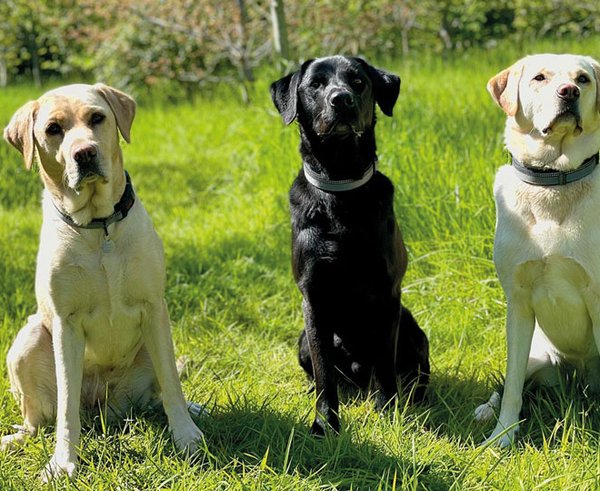 Pru-Oakley-Jodie-web