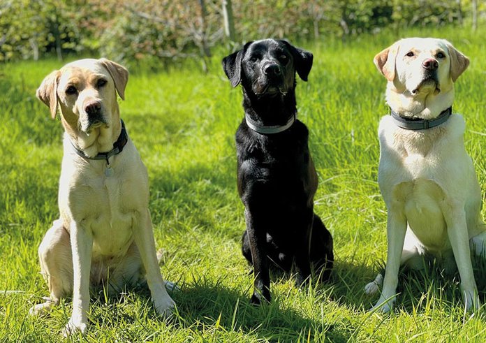 Pru-Oakley-Jodie-web