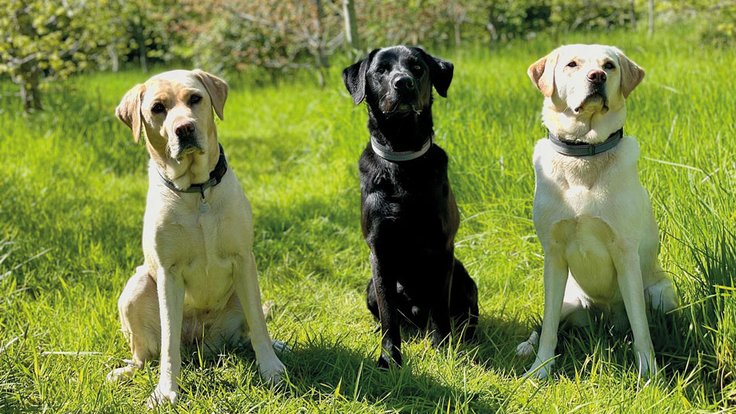 Pru-Oakley-Jodie-web
